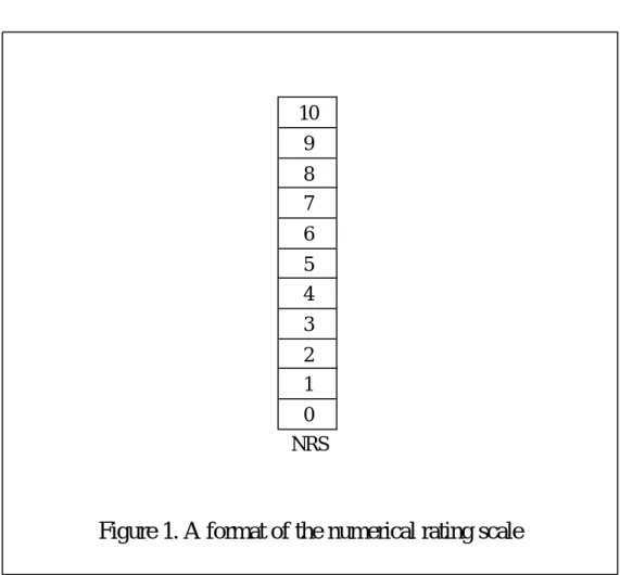 Figure 1. A format of the numerical rating scale 