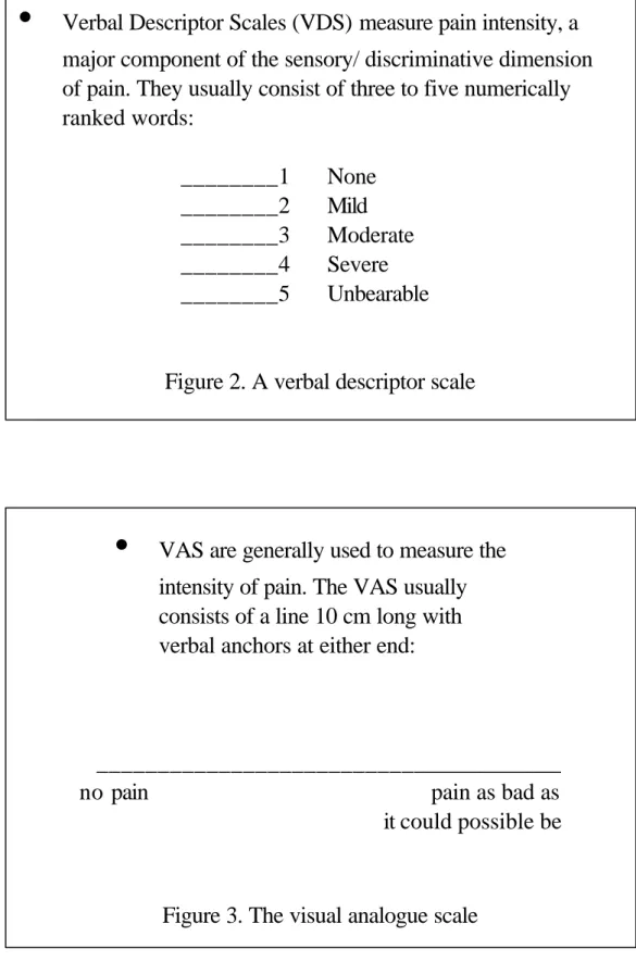 Figure 3. The visual analogue scale 