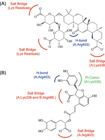 Figure  12:  Key  features  for  Ku86  drug  design.  The  common  features  of  (A)  top1  and  top2  com- com-pounds;  and  (B)  top  3  and  top  4  compounds  were  included