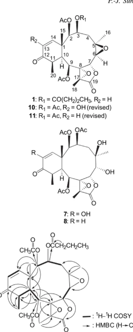 Figure 1. The 1 H– 1 H COSY and selective HMBC correlations of 1.