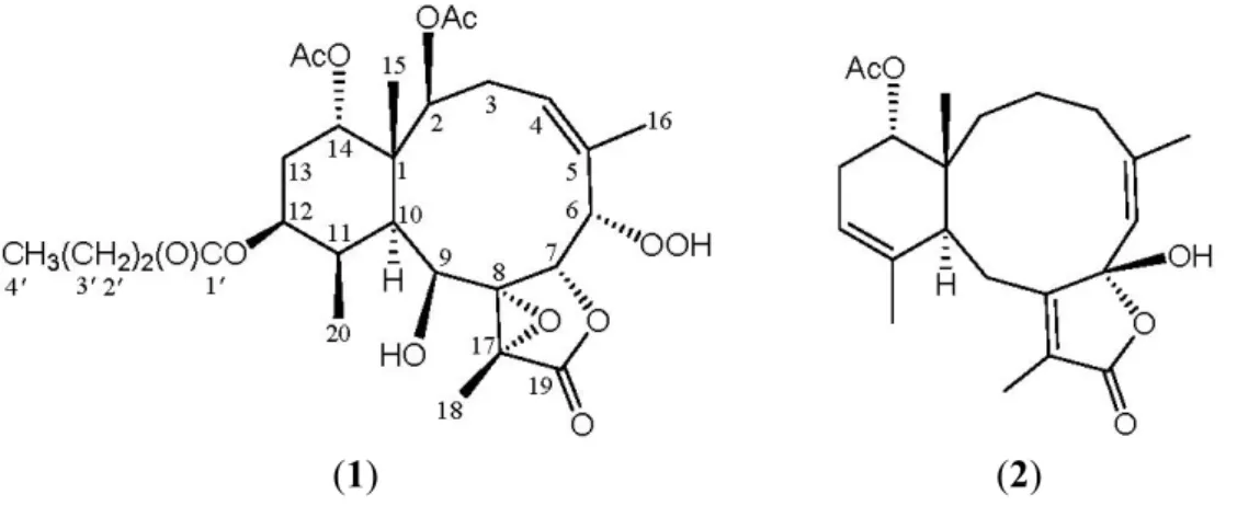 Figure 1. The structures of briarenolides F (1) and G (2).  