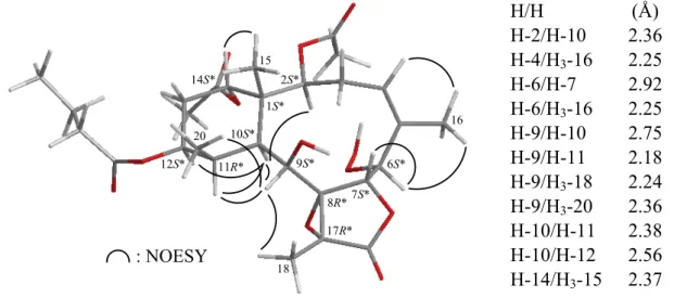 Figure 3. The stereoview of 1 (generated from computer modeling) and the calculated  distances (Å) between selected protons with key NOESY correlations