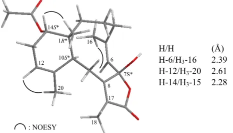 Figure 4. The stereoview of 2 (generated from computer modeling) and the calculated  distances (Å) between selected protons with key NOESY correlations
