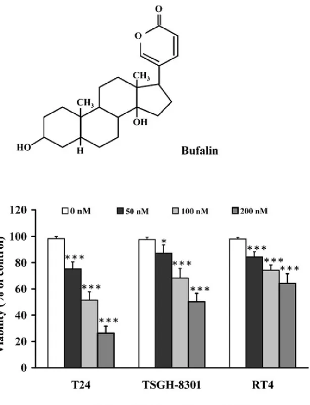 Fig. 1. Effects of bufalin on cell viability in human bladder cancer cells. (A) The chemical structure of bufalin