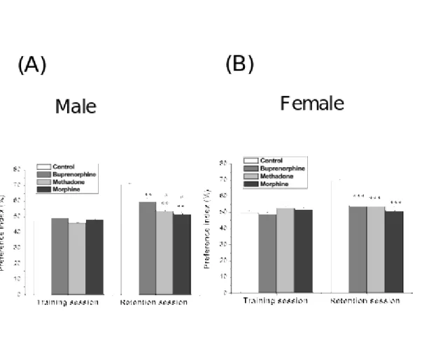 Figure 2. Effects of prenatal exposure to opioids on recognition memory. 