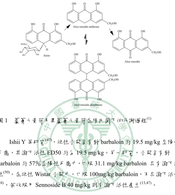 圖 1  蘆薈大黃苷及異蘆薈大黃苷在腸內菌下的代謝過程 (1) Ishii Y 等研究 (47) ，雄性小鼠含有對 barbaloin 約 19.5 mg/kg 呈陽性 反應，其瀉下活性 ED50 約為 19.5 mg/kg。另一研究，小鼠含有對 barbaloin 約 57％呈陽性反應中，口服 31.1 mg/kg barbaloin  具有瀉下活 性 (50) 。在雄性 Wistar 小鼠中，口服 100mg/kg barbaloin，不具瀉下活性 (48) ，若改服用 Sennoside B 40 m
