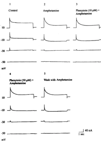 Fig. 4. Effects of phenytoin on the d-amphetamine-elicited current changes in RP4 neuron