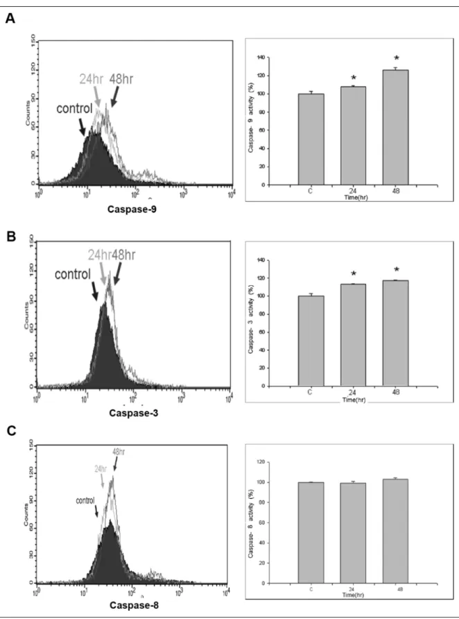 Figure 4. Capsaicin affected caspase-9 and -3 activities in NPC-TW 039 cells. Cells were treated with 300 mM of capsaicin for 24 and 48 h and were collected for determination activities of caspase-9 (A), -3 (B) and -8 (C) as described in the section on Mat