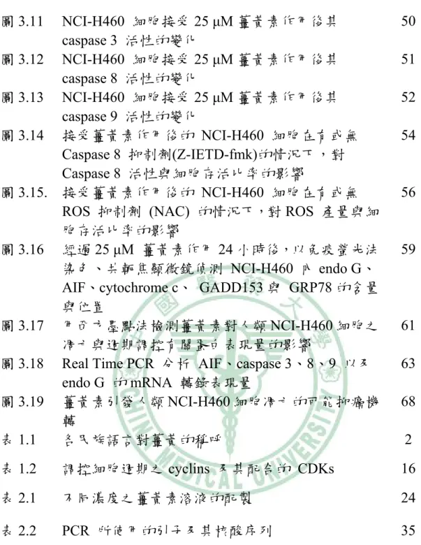 圖 3.11 NCI-H460  細胞接受 25 μM 薑黃素作用後其  caspase 3  活性的變化 50  圖 3.12 NCI-H460  細胞接受 25 μM 薑黃素作用後其  caspase 8  活性的變化 51  圖 3.13 NCI-H460  細胞接受 25 μM 薑黃素作用後其  caspase 9  活性的變化 52  圖 3.14  接受薑黃素作用後的 NCI-H460 細胞在有或無  Caspase 8  抑制劑(Z-IETD-fmk)的情況下，對  Caspase 8  活性