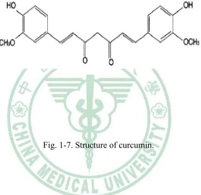 Fig. 1-7. Structure of curcumin. 
