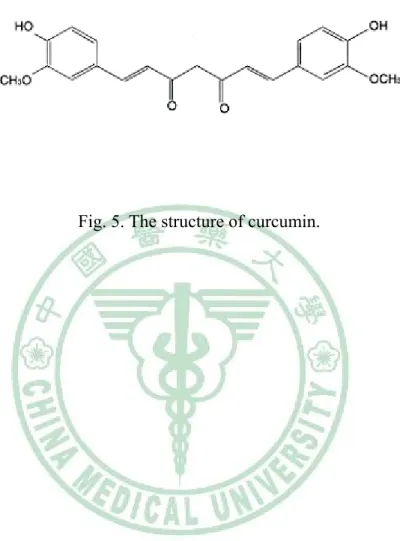 Fig. 5. The structure of curcumin. 
