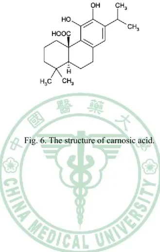 Fig. 6. The structure of carnosic acid. 