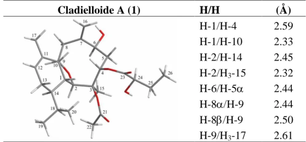 Table  2.  The  stereoview  of  1  (generated  from  computer  modeling)  and  the  calculated  distances (Å) between selected protons having key NOESY correlations