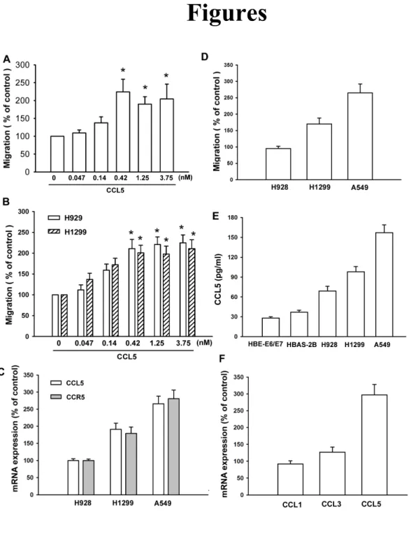 Fig. 1 CCL5 induced migration activity of human lung cancer cells