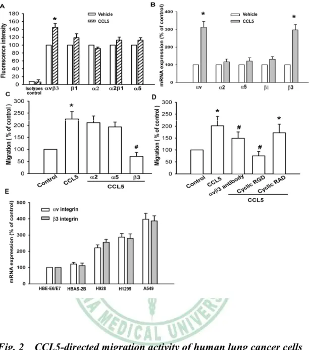 Fig. 2 CCL5-directed migration activity of human lung cancer cells involves upregulation of vβ3 integrins