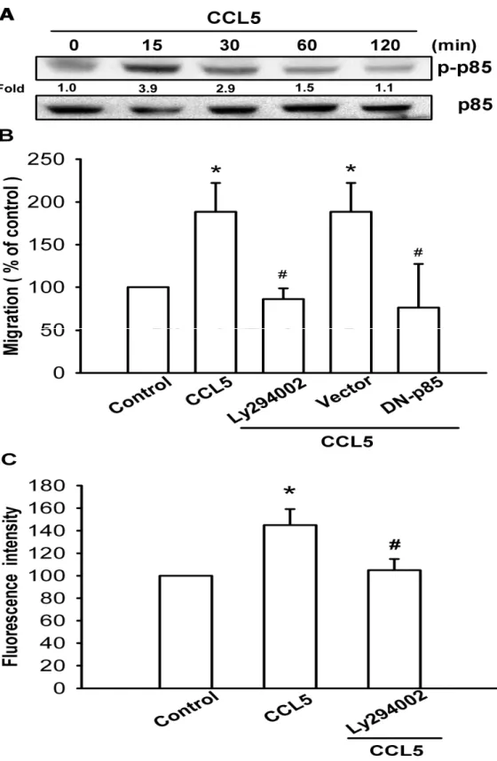 Fig. 3 PI3K is involved in CCL5-mediated migration and integrin upregulation in human lung cancer cells.