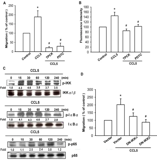 Fig. 5 CCL5 induces cells migration and integrin upregulation through NF-κB.