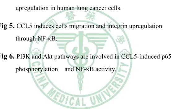 Fig 1. CCL5 induced migration activity of human lung cancer cells Fig 2. CCL5-directed migration activity of human lung cancer cells