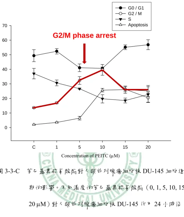 圖 3-3-C  苯乙基異硫氰酸酯對人類前列腺癌細胞株 DU-145 細胞週 期的影響。不同濃度的苯乙基異硫氰酸酯（0, 1, 5, 10, 15,  20 μΜ）對人類前列腺癌細胞株 DU-145 作用 24 小時後， 以流式細胞儀分析對細胞週期的影響（n = 3），觀察細胞 週期間各期細胞比例變化。圖中顯示隨著藥物濃度越高， G 0  / G 1 期無明顯變化，G 2  / M 期增加，S 期逐漸減少， Apoptosis 的細胞比例則逐漸增高。 C151015 20010203040506070G0 