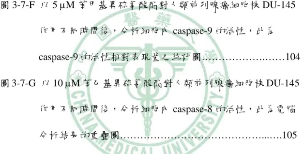 圖 3-7-D  以 10 μM 苯乙基異硫氰酸酯對人類前列腺癌細胞株 DU-145 作用不同時間後，分析細胞內 caspase-3 的活性，此為 caspase-3 的活性相對表現量之統計圖…………………….103  圖 3-7-E  以 5 μM 苯甲基異硫氰酸酯對人類前列腺癌細胞株 DU-145 作用不同時間後，分析細胞內 caspase-9 的活性，此為電腦 分析結果的重疊圖……………………………………….…104  圖 3-7-F  以 5 μM 苯甲基異硫氰酸酯對人類前列腺癌細胞株 DU-145
