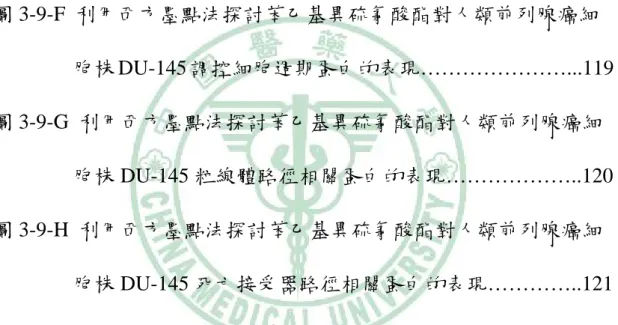 圖 3-9-C  利用西方墨點法探討苯甲基異硫氰酸酯對人類前列腺癌細 胞株 DU-145 內質網壓力路徑相關蛋白的表現…………..116  圖 3-9-D  利用西方墨點法探討苯甲基異硫氰酸酯對人類前列腺癌細 胞株 DU-145 活性氧化物相關蛋白的表現…………..……117  圖 3-9-E  利用西方墨點法探討苯甲基異硫氰酸酯對人類前列腺癌細 胞株 DU-145 細胞轉移相關蛋白的表現…………………...118  圖 3-9-F  利用西方墨點法探討苯乙基異硫氰酸酯對人類前列腺癌細 胞株 DU-145 