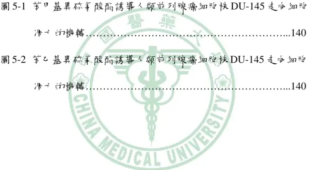 圖 3-13-D  加入 caspase-8 抑制劑能夠抑制苯甲基異硫氰酸酯對於人類 前列腺癌細胞株 DU-145 存活率的影響，藥物作用 24 小時後 測其存活率 …………………………………..…………….132  圖 3-13-E  加入 caspase-9 抑制劑能夠抑制苯甲基異硫氰酸酯對於人類 前列腺癌細胞株 DU-145 存活率的影響，藥物作用 24 小時後 測其存活率 ……………………………………………..….132  圖 5-1 苯甲基異硫氰酸酯誘導人類前列腺癌細胞株 DU-145 走向細胞 