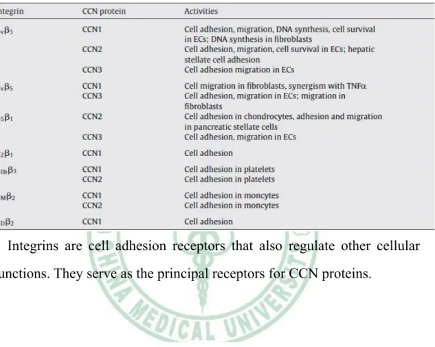 Table 1. Specific CCN-integrin interactions and activities they mediate. 
