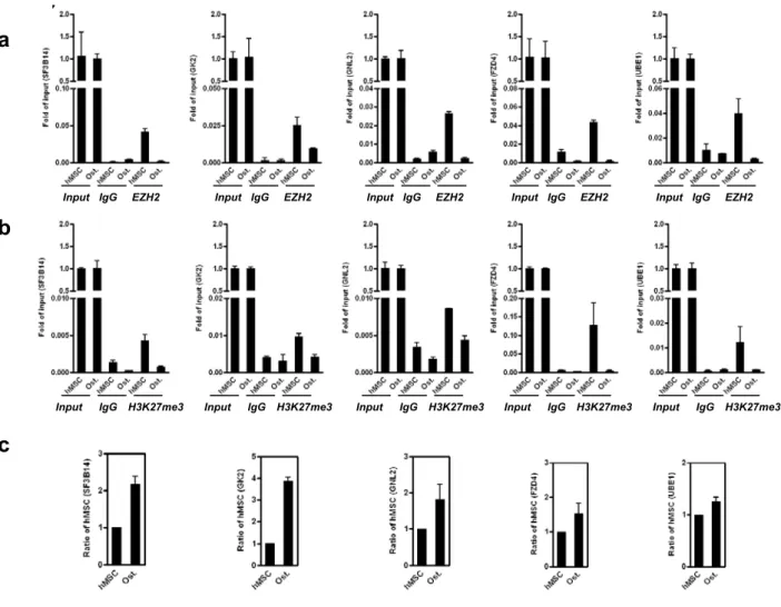 Figure S5 Validation of ChIP-on-chip results for five genes. These five  genes were randomly selected from ChIP-on-chip results whose binding to  EZH2 were lost after osteogenic differentiation