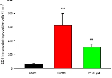 Fig. 4. Effects of paeoniflorin on superoxide anion in ischemia-reperfusion injured rats