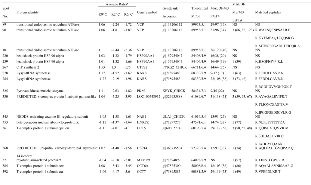 Table 2. Differentially expressed protein spots in the testis of L2 strain Taiwan country chicken after heat stress.