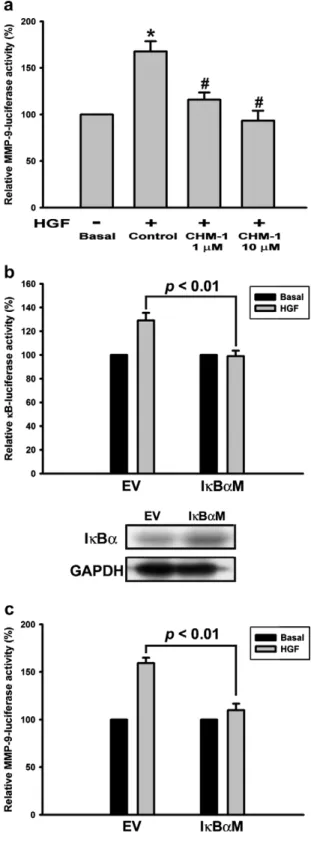 Fig. 7. Role of NF-jB in HGF-induced MMP-9 gene transcrip- transcrip-tion in SK-Hep-1 cells