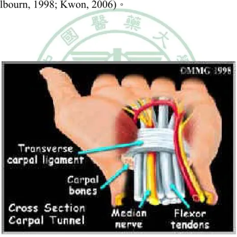 Figure 2-1 腕隧道剖面