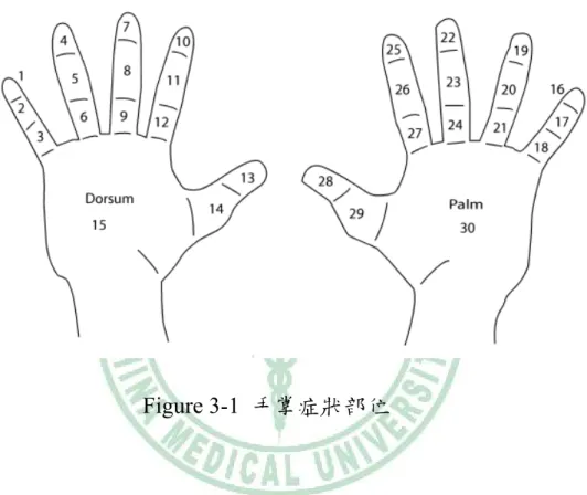 Figure 3-1  手掌症狀部位 