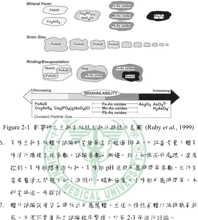 Figure 2-1  影響砷之生物有效性之物化特性示意圖 (Ruby et al., 1999)  6.  胃腸生物有效體外試驗研究發展至今超過 10 年，已詳盡考量人體胃 腸消化環境各項參數，試驗參數也漸趨一致，如樣品前處理、溫度 控制、胃腸相酵素添加物、胃腸相 pH 值與反應時間等參數，但仍有 需要釐清之問題，如：液固比、蠕動強度、小腸相反應時間等，本 研究將進一步探討。  7