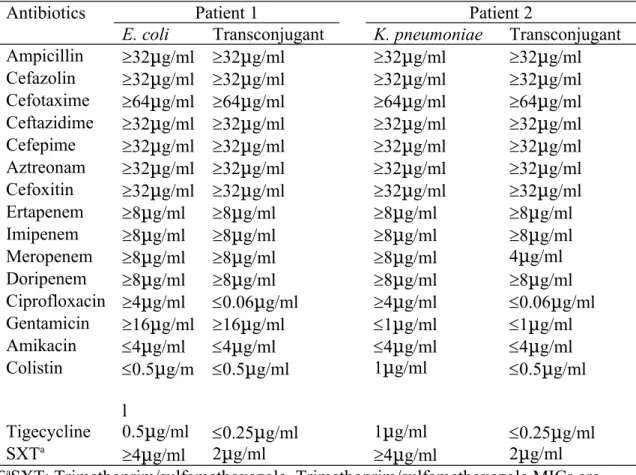 Table 2 Antimicrobial susceptibility testing among bla NDM-1 -carrying  isolates and their transconjugants
