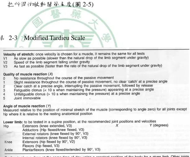 表 2-3  Modified Tardieu Scale 
