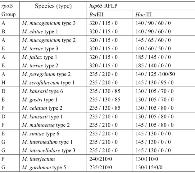 Table 4 Species with identical or similar hsp65 PRA but different groups in rpoB  DPRA