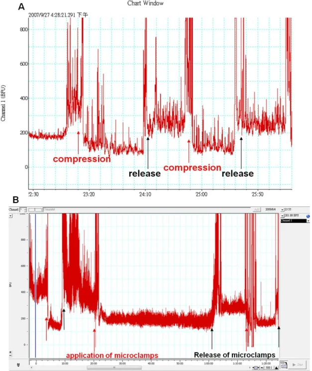 Figure 2.4 Measurement of the cochlear blood flow by laser dopplerometry. A. 