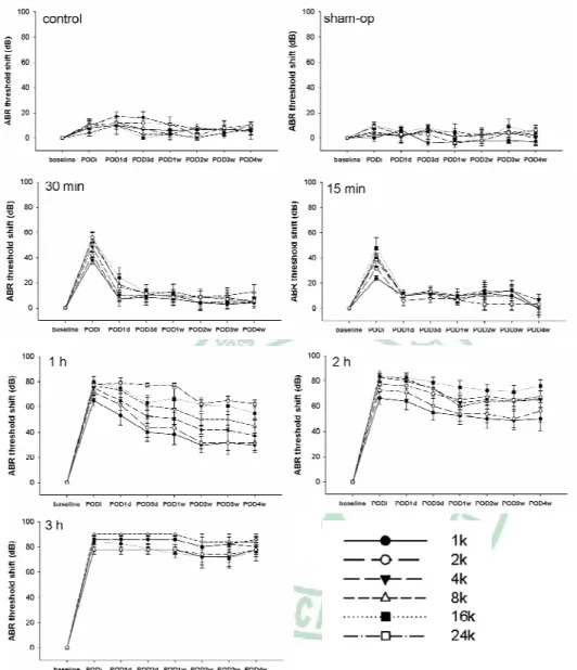 Figure 3.1 Serial ABR threshold shifts after different periods of transient cochlear  ischemia induced by microclamps