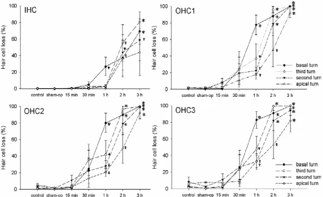 Figure 3.3 Hair cell loss induced by ischemia. Compared with the control group, OHC  loss and IHC loss at the basal turn were significant when ischemia was ≥ 1 h