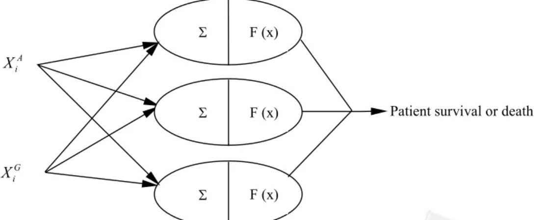Figure 1. Structure of Back-Propagation Network.