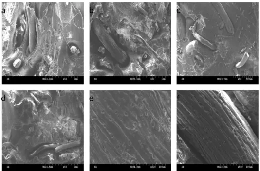 Figure 6 (a), (b), (c), and (d) compares the fractured face of the WPC that is made with alkali-treated and untreated coir
