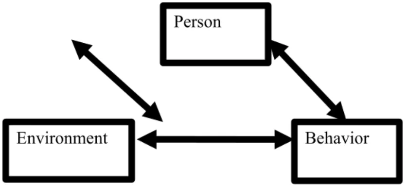Figure 1: Social Cognitive Theory