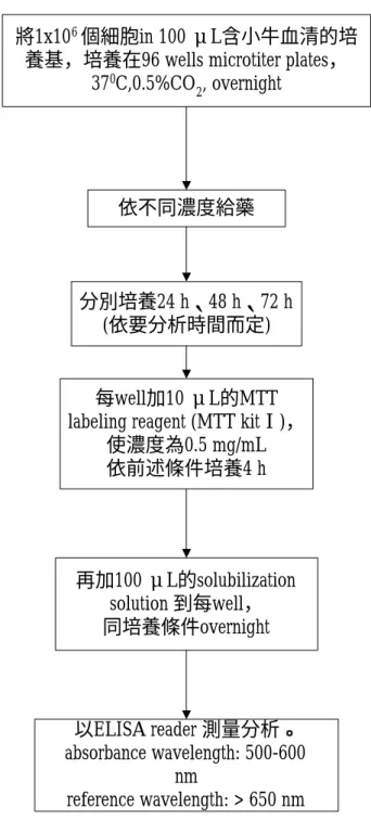 圖 3.1：細胞生長抑制試驗流程圖 