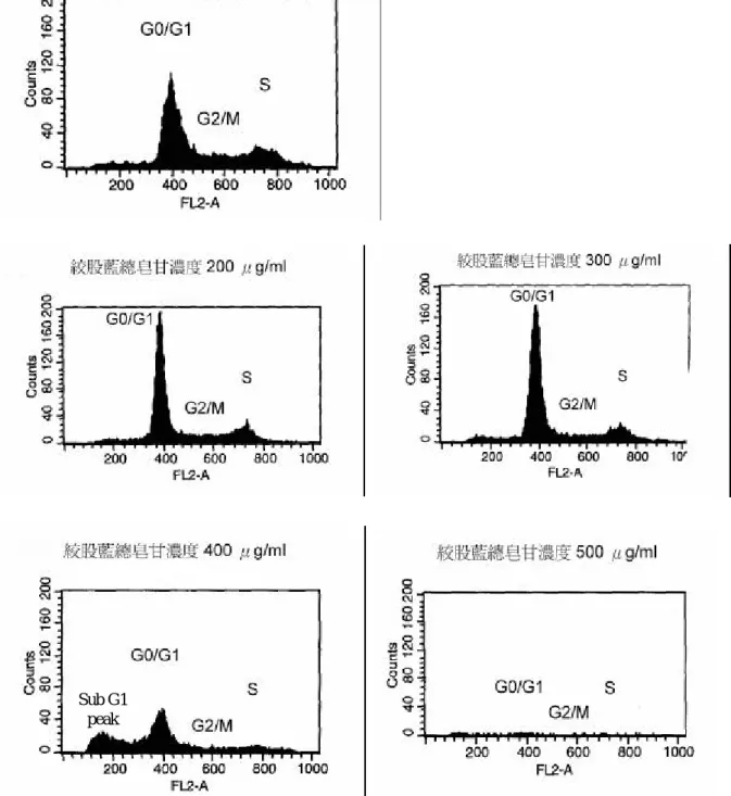 圖 4.5：絞股藍皂 培養 48 小時對 HA22T/VGH 細胞生長周期的影響   