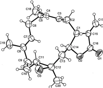 Figure 6. Observed NOESY correlations of 6.