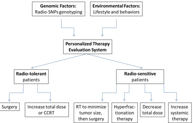 Figure 1. Personalized therapy evaluation system that considersing the individual genomic  factors, environmental factors, and radiosensitivity for each cancer patient.