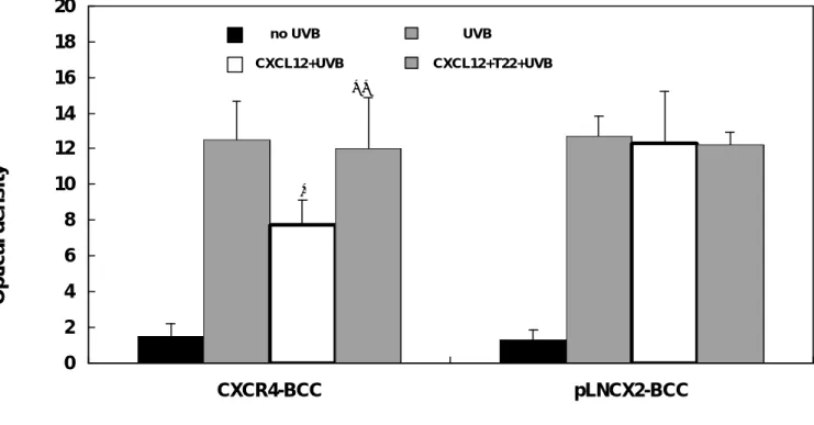圖  4。 經 體 外 實 驗 證 明CXCR4/CXCL12趨化性的交互作用可阻斷 CXCR4-BCC細胞的凋亡。 在T22存在或缺乏下，以500 ng/ml CXCL12 處理CXCR4-BCC細胞與pLNCX2-BCC細胞。之後在螢光染劑(AMC)釋放 460 nm波長下以光學密度偵測caspase-3的活性。 CXCR4-BCC細胞: *， 