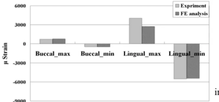 Figure 4 compares the maximum (tensile) and  minimum (compressive) principal strains of the  experimental and validation FE models in both the  buccal and lingual regions of crestal cortical bone