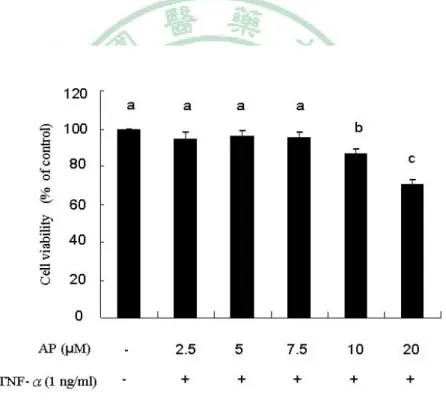 Fig. 2. Effect of andrographolide (AP) on the cell viability of EA.hy926  cells in the presence of TNF-α